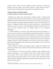 Viešasis interesas bankroto bylose 17 puslapis