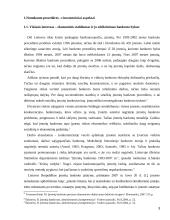 Viešasis interesas bankroto bylose 3 puslapis