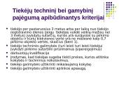 Pirkimo dokumentų rengimas. Viešųjų pirkimų sutarčių kainodara 17 puslapis