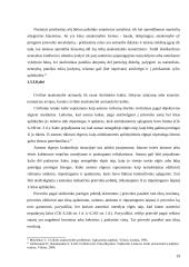 Kelių transporto priemonių savininkų (valdytojų) civilinė atsakomybė už eismo įvykių metų padaryta žalą 19 puslapis