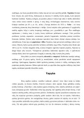 Senovės Kinijos tapybos pagrindiniai bruožai 2 puslapis
