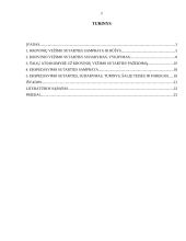 Krovinių vežimo ir ekspedijavimo sutartis 2 puslapis