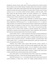 Krovinių vežimo ir ekspedijavimo sutartis 16 puslapis