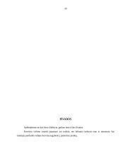 Krovinių vežimo ir ekspedijavimo sutartis 20 puslapis