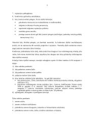 Neturtinės žalos atlyginimo ypatumai 3 puslapis