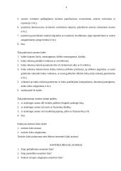 Neturtinės žalos atlyginimo ypatumai 4 puslapis