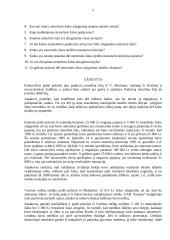 Neturtinės žalos atlyginimo ypatumai 5 puslapis