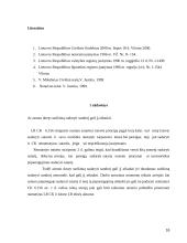 Sandorių tvirtinimas 16 puslapis