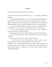 Sandorių tvirtinimas 17 puslapis