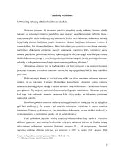 Sandorių tvirtinimas 3 puslapis