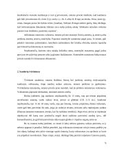 Sandorių tvirtinimas 5 puslapis