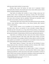 Sandorių tvirtinimas 6 puslapis