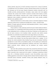 Sandorių tvirtinimas 10 puslapis