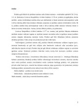 Prokūra ir jos teisinė esmė 2 puslapis