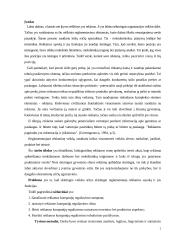 Reklaminės veiklos reglamentavimo problemos 2 puslapis