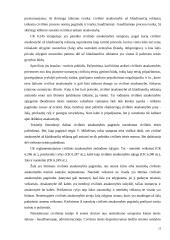 Reklaminės veiklos reglamentavimo problemos 13 puslapis