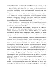 Reklaminės veiklos reglamentavimo problemos 15 puslapis