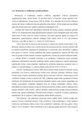 Restitucijos interesų sankirtos proble­ma 13 puslapis