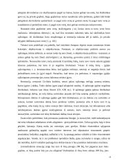 Restitucijos interesų sankirtos proble­ma 18 puslapis