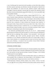 Santuokos nutraukimas esant sutuoktinio kaltei 19 puslapis