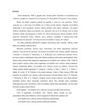 Savivaldybės turto valdymas ir jo įtaka savivaldos funkcionavimui 2 puslapis