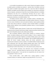 Savivaldybės turto valdymas ir jo įtaka savivaldos funkcionavimui 11 puslapis