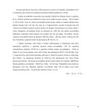 Savivaldybės turto valdymas ir jo įtaka savivaldos funkcionavimui 19 puslapis