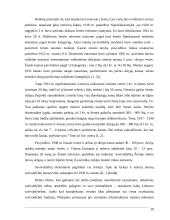 Savivaldybės turto valdymas ir jo įtaka savivaldos funkcionavimui 20 puslapis