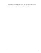 Savivaldybės turto valdymas ir jo įtaka savivaldos funkcionavimui 4 puslapis