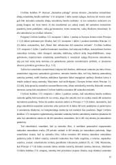 Vaikų išlaikymo teisinis reguliavimas ir Lietuvos Konstitucinis Teismas 12 puslapis