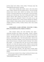 Nepilnamečių globa ir rūpyba Lietuvoje 3 puslapis