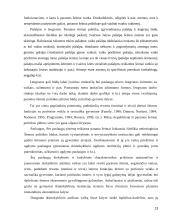 Nesantuokinės partnerystės Lietuvoje priežastys 13 puslapis