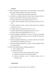 Santuokos negaliojimo ir pabaigos pagrindai 11 puslapis