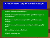 Civilinė teisė kaip teisės šaka pristatymas 2 puslapis