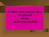 Civilinė teisė kaip teisės šaka pristatymas 20 puslapis