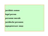 Bendrosios žinios apie juridinius asmenis skaidrės 13 puslapis