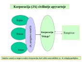 Bendrosios žinios apie juridinius asmenis skaidrės 10 puslapis