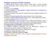 Ribotos atsakomybės įmonės 19 puslapis