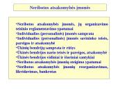 Neribotos atsakomybės įmonės