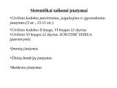 Neribotos atsakomybės įmonės 2 puslapis