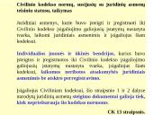 Neribotos atsakomybės įmonės 12 puslapis