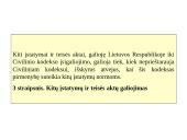 Neribotos atsakomybės įmonės 3 puslapis