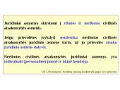 Neribotos atsakomybės įmonės 4 puslapis