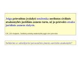 Neribotos atsakomybės įmonės 7 puslapis