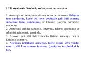 Atstovavimas skaidrės 11 puslapis