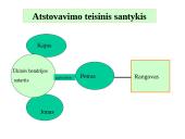 Atstovavimas skaidrės 17 puslapis