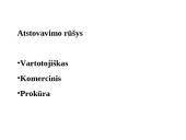 Atstovavimas skaidrės 18 puslapis