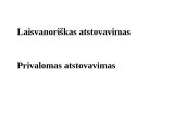 Atstovavimas skaidrės 19 puslapis