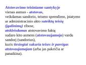 Atstovavimas skaidrės 4 puslapis