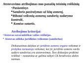 Atstovavimas skaidrės 9 puslapis